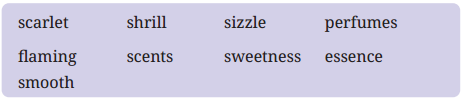I Cannot Remember My Mother Question Answer Class 9 English Kaveri Poem 4 4