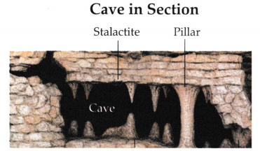Shaping of the Earth’s Surface Class 9 Question Answer SST Chapter 2 16
