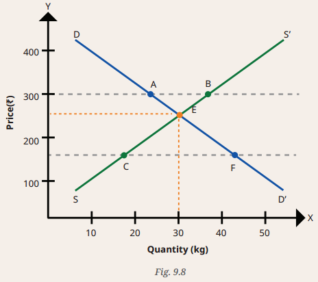The Price Puzzle What Drives the Market Class 9 Question Answer SST Chapter 9-5